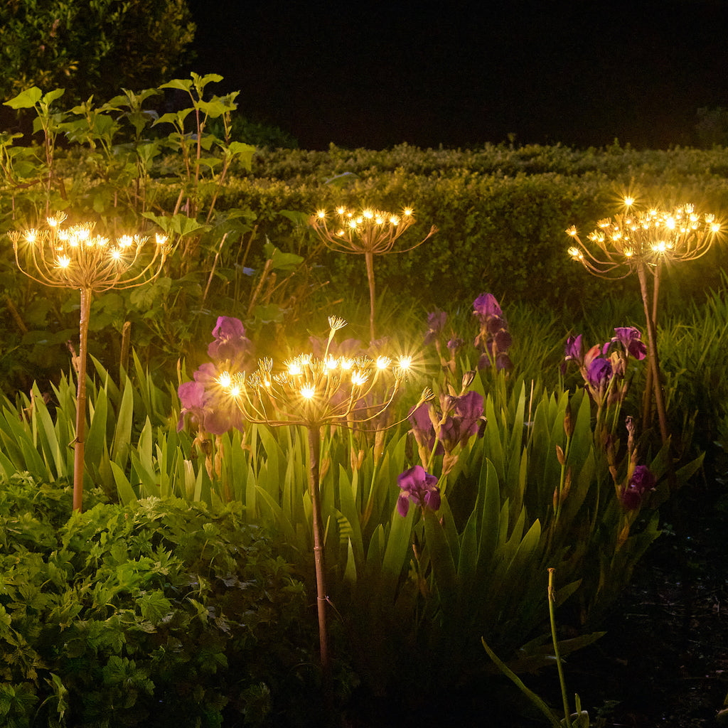 Decorative Garden Lighting