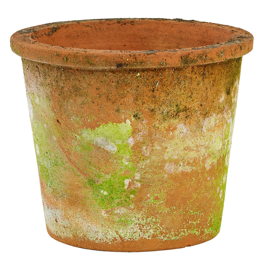 aged terracotta plant pot