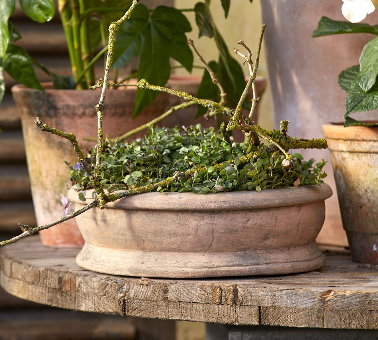 Shallow aged terracotta plant pot 