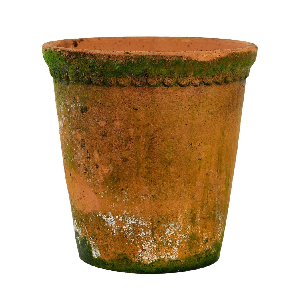 aged terracotta plant pot with lace detail on the rim