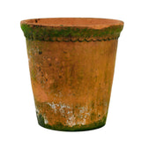 aged terracotta plant pot with lace detail on the rim