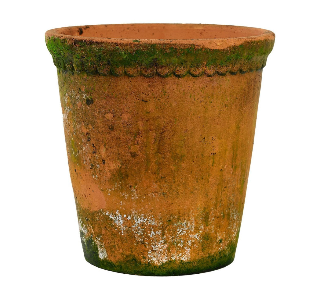 aged terracotta plant pot with lace detail on the rim