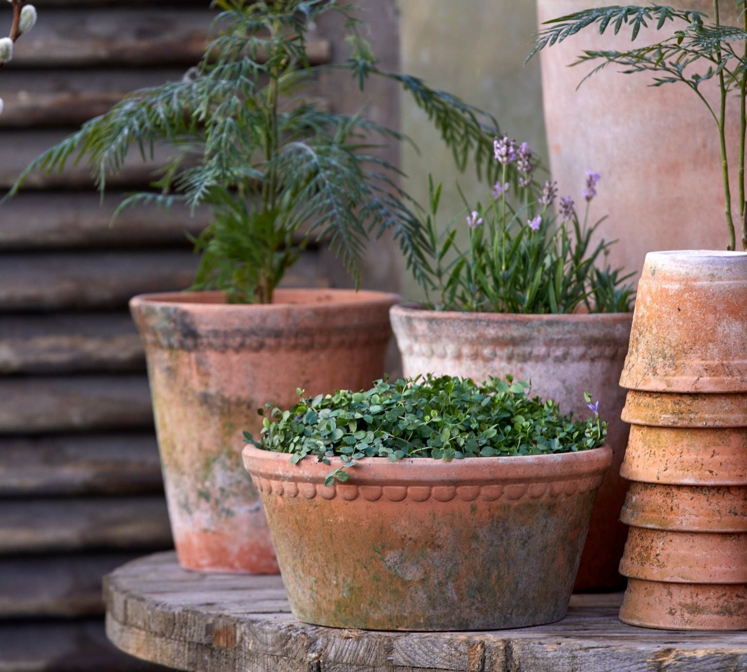 Terracotta clay potted plants arranged on a rustic wooden table, with stacked pots on the right and leafy green plants in textured pots against a blurred outdoor background.