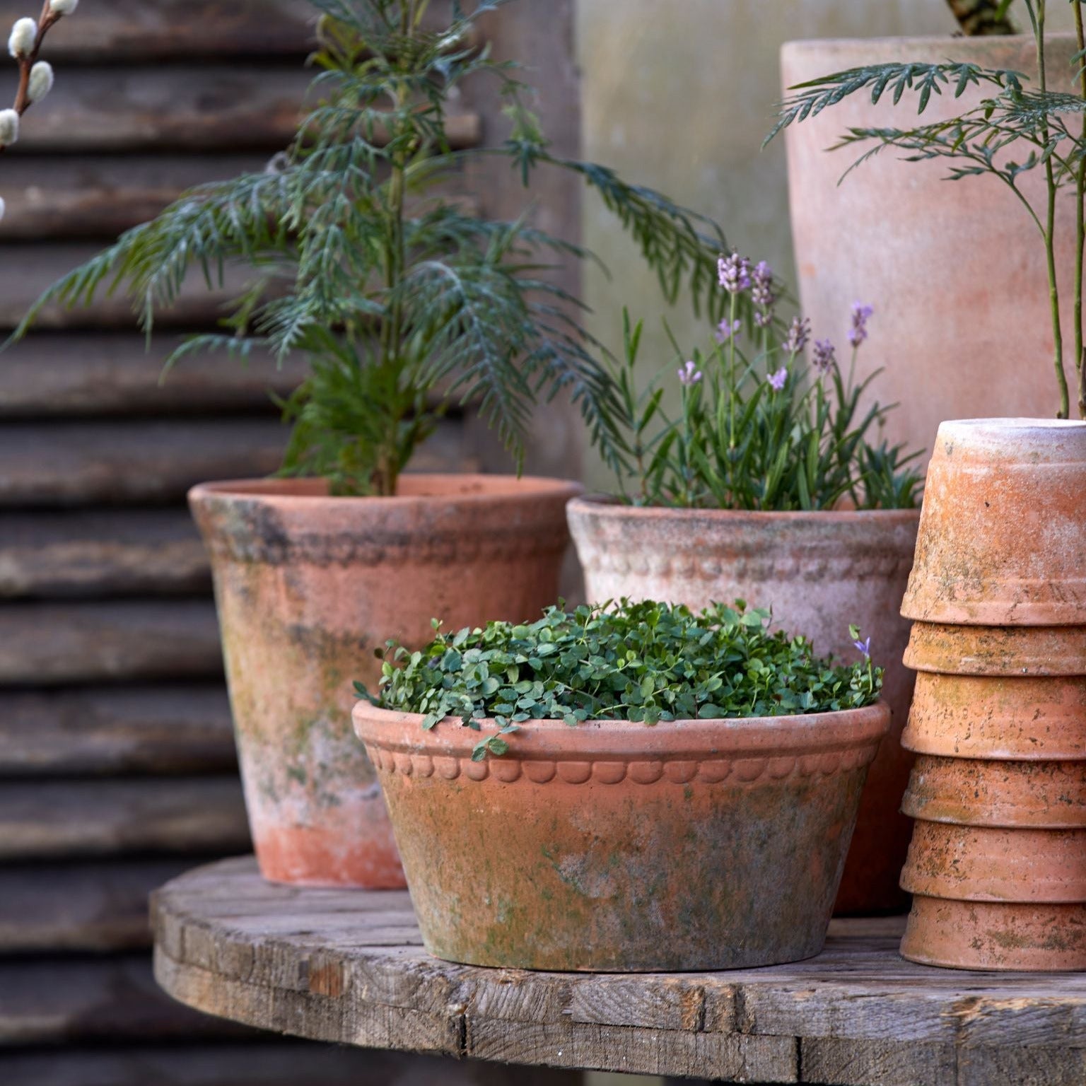 Terracotta clay potted plants arranged on a rustic wooden table, with stacked pots on the right and leafy green plants in textured pots against a blurred outdoor background.