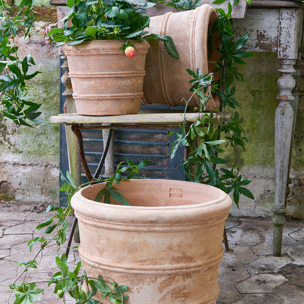 aged natural terracotta plant pots in three sizes