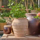 Terracotta urn planted with greenery, stood on table in collection of pots.