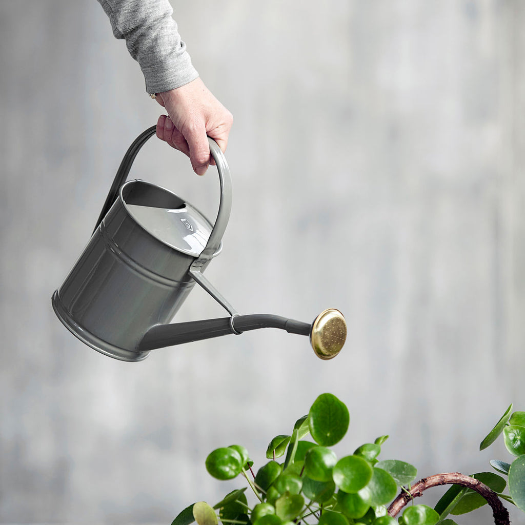 grey watering can with brass rose 