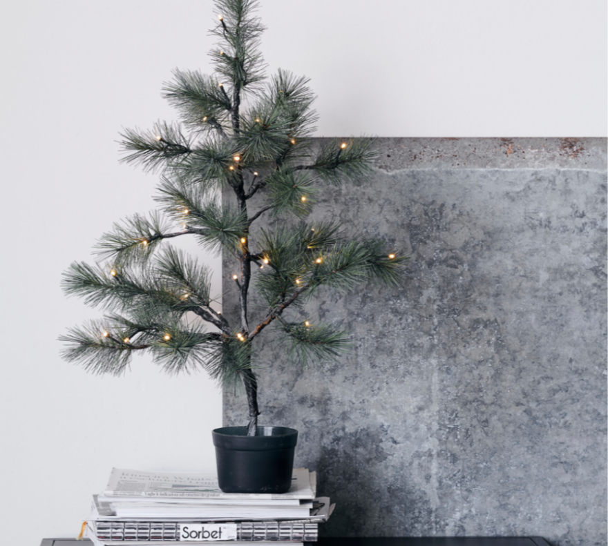 Decorative potted tree with lights on a stack of books against a concrete wall.