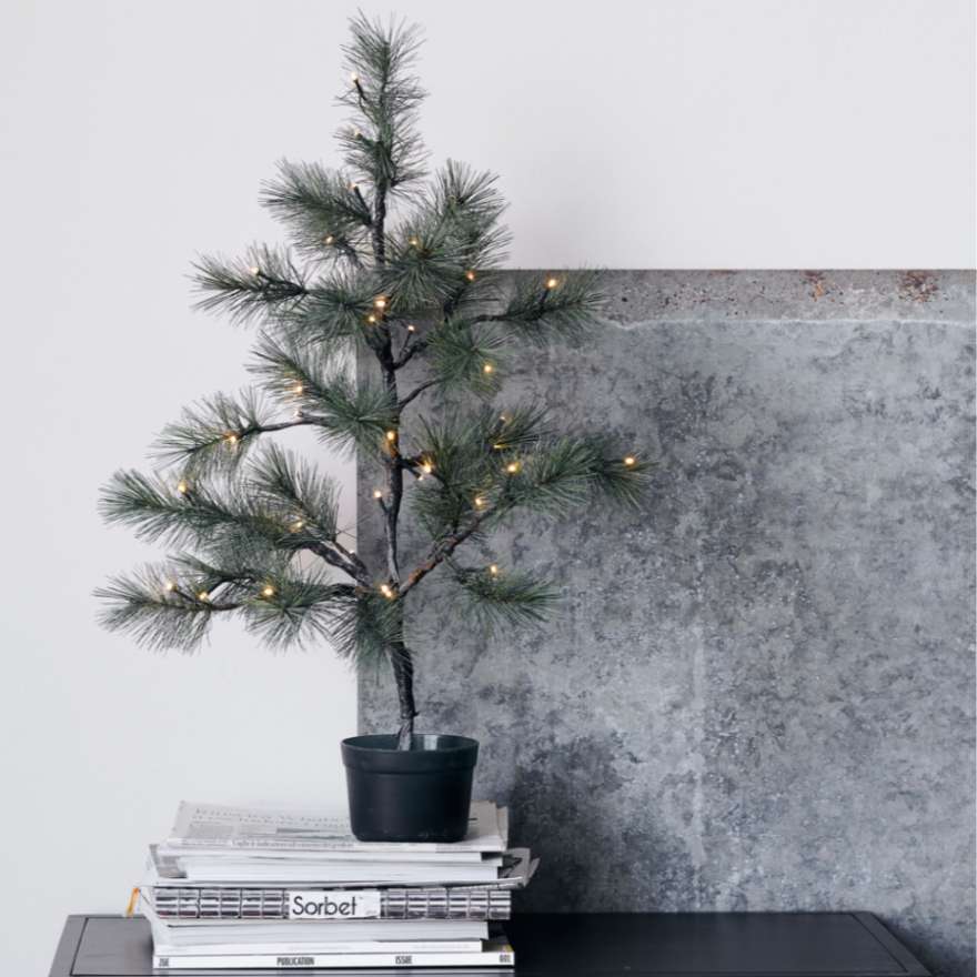 Decorative potted tree with lights on a stack of books against a concrete wall.