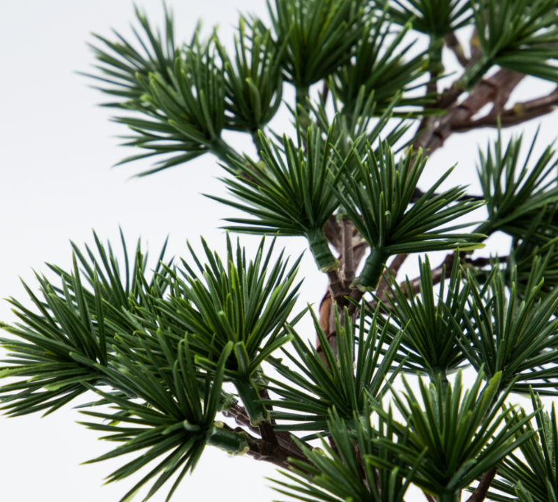 Hanging Christmas Wreath with pine branches