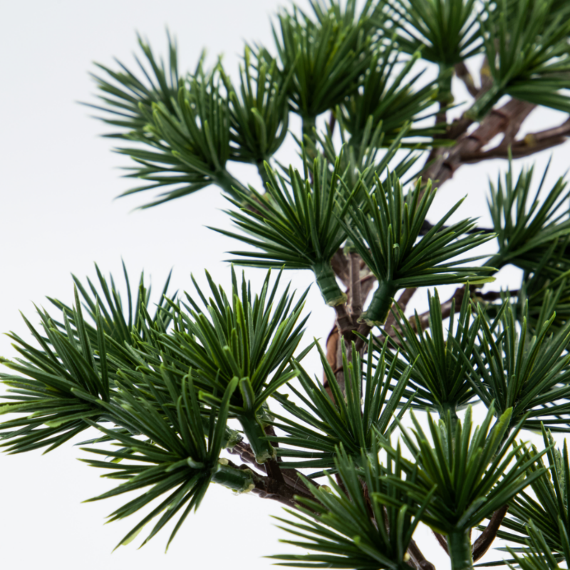 Hanging Christmas Wreath with pine branches