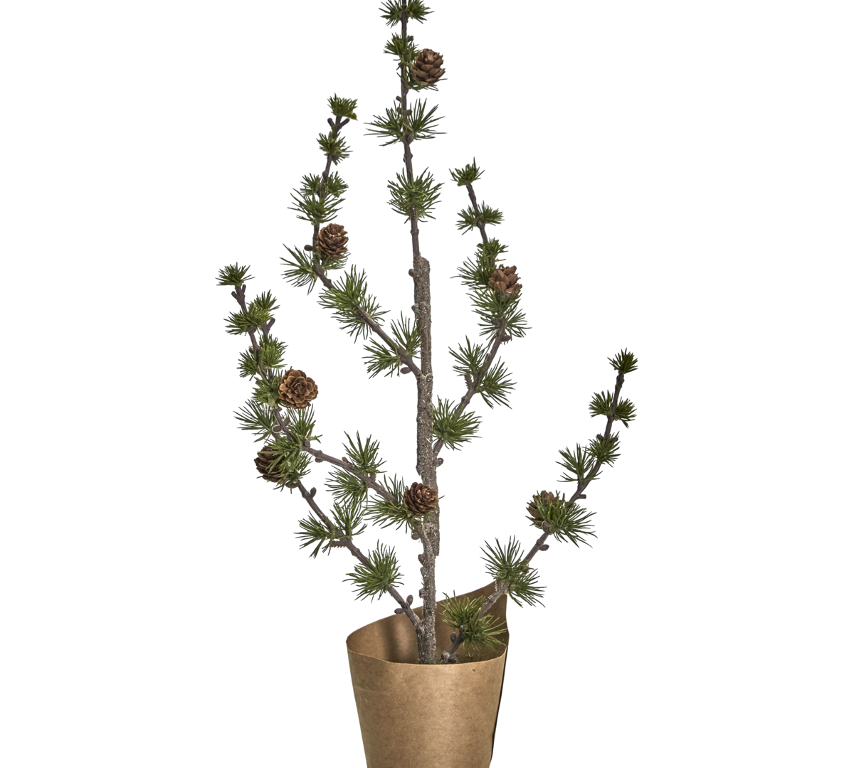 Potted Christmas Tree Cedar