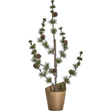 Potted Christmas Tree Cedar