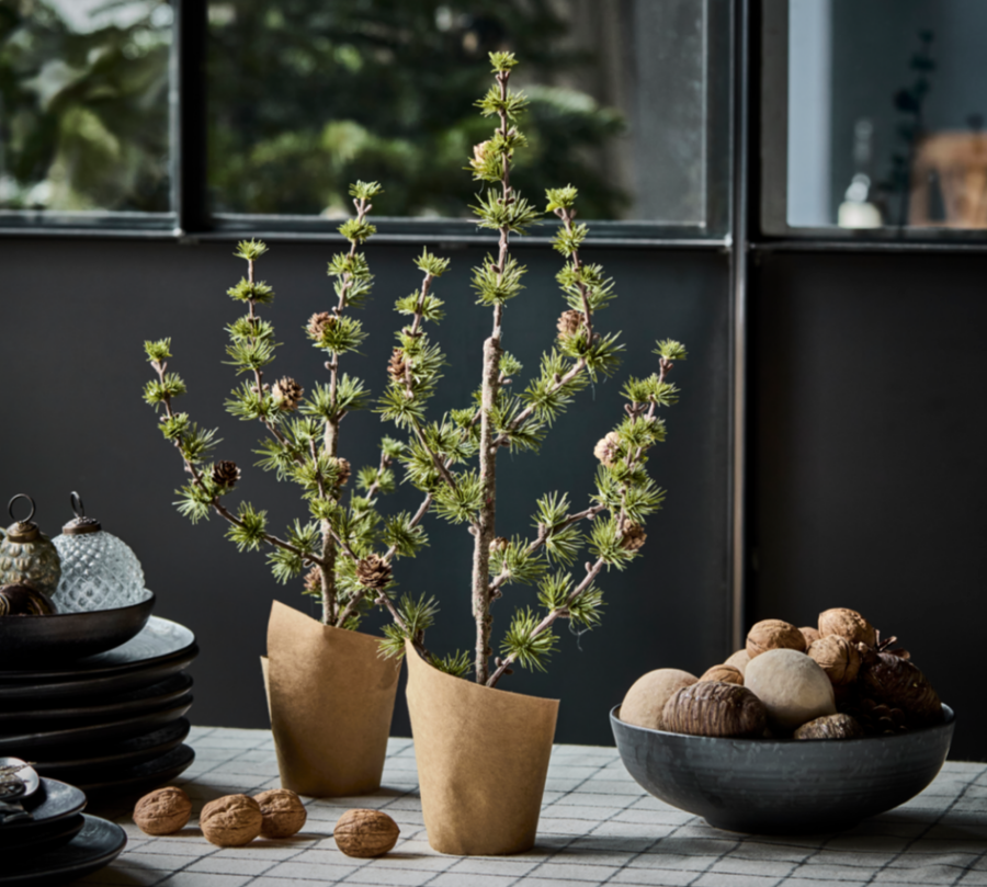 Potted Christmas Tree with pine cones