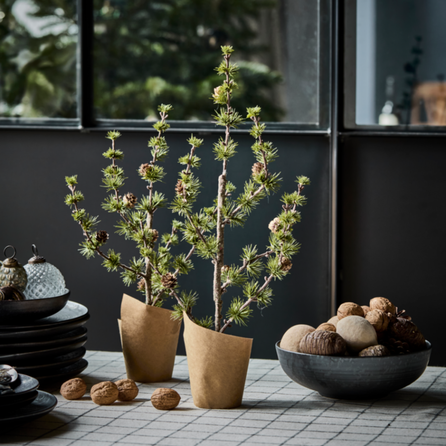 Potted Christmas Tree with pine cones