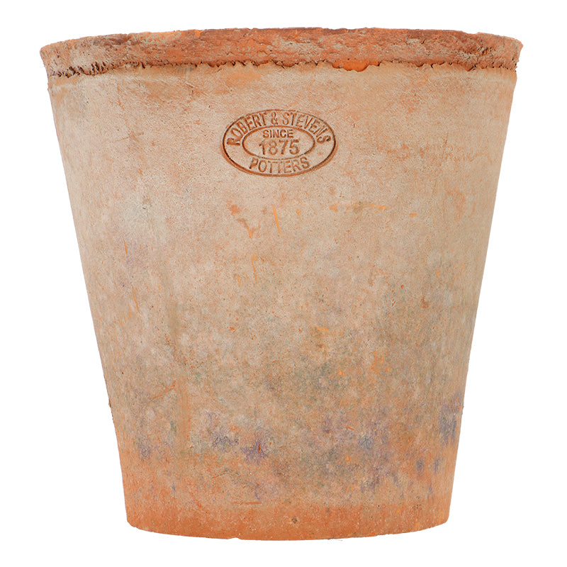 Aged Terracotta plant pot and saucer 