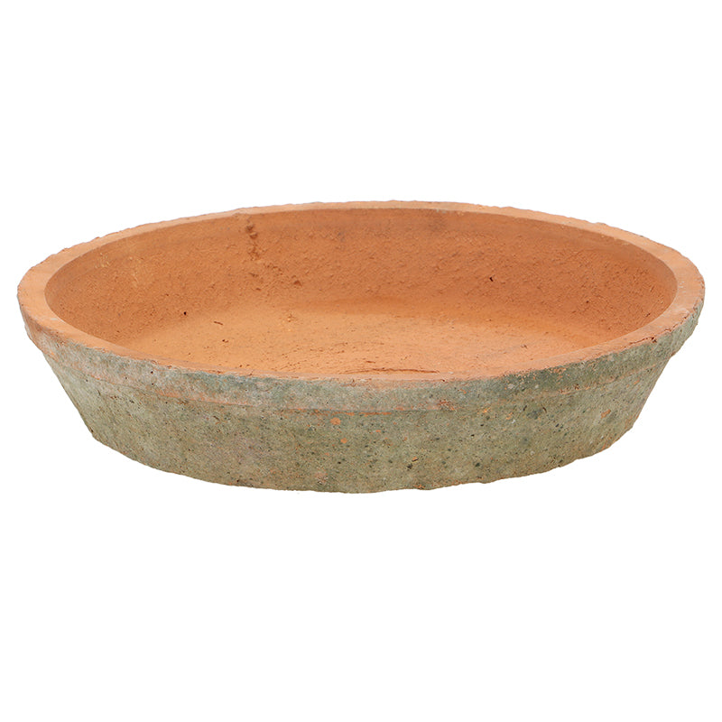 Aged Terracotta plant pot and saucer 