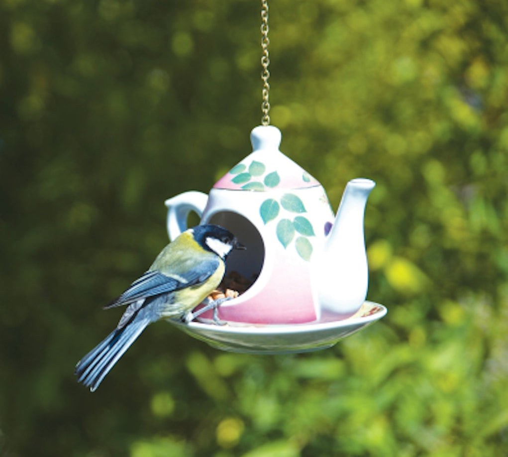 hanging teapot bird feeder