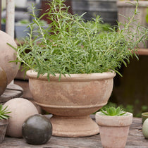 Gerti terracotta planter 