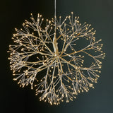 Gold Dandelion Light by Lightstyle