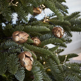 Gold pinecone fairy lights 