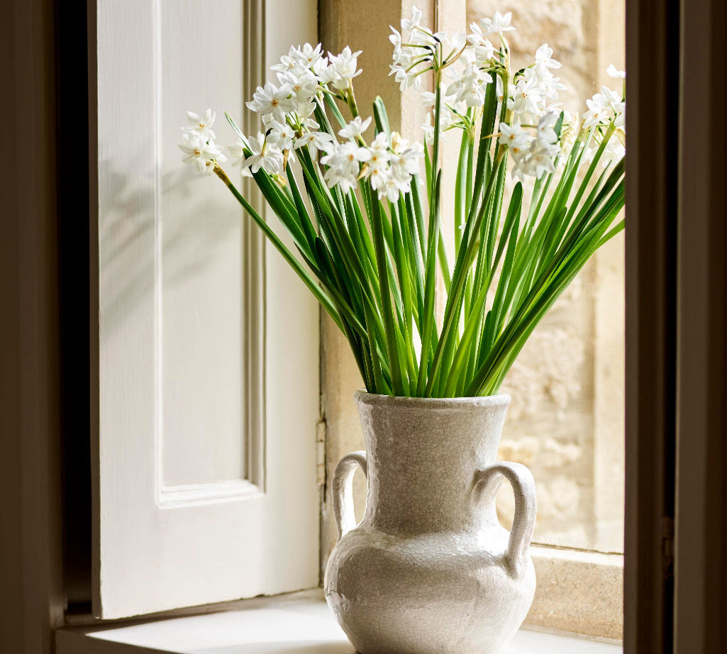 White flowers in a vase on a windowsill