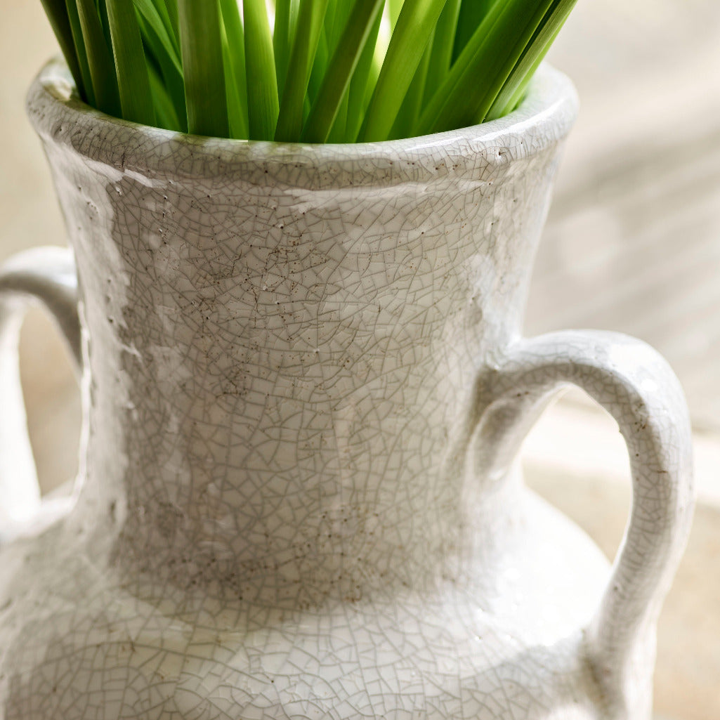 White textured vase with green plant on a light background