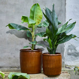 set of two brown ribbed plant pots
