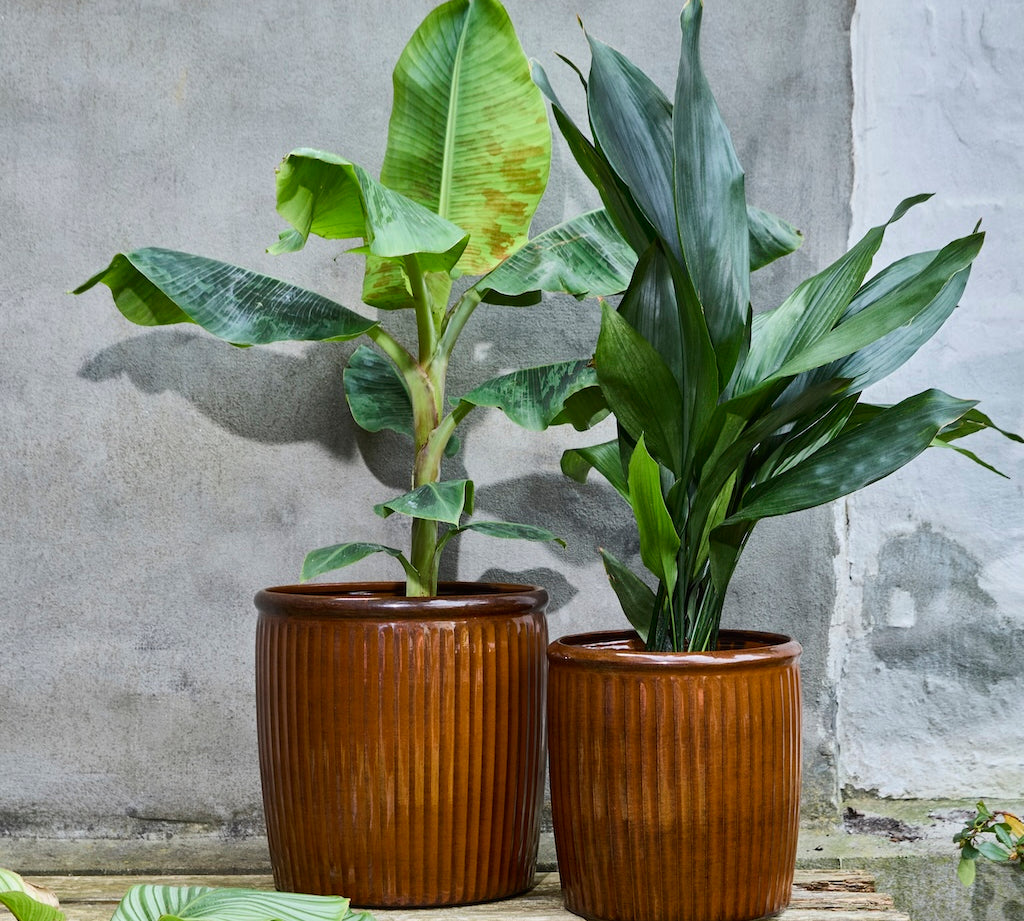 set of two brown ribbed plant pots