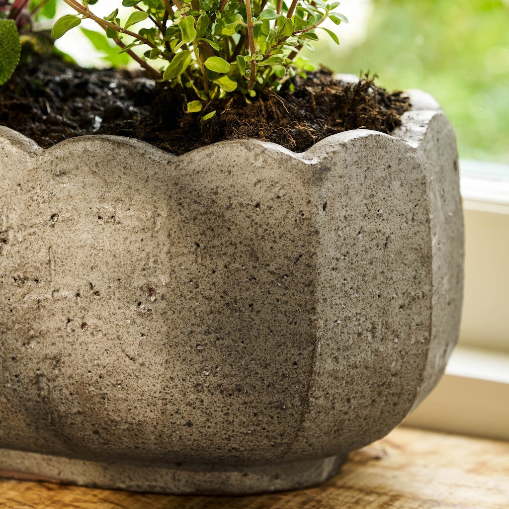 Concrete planter with a plant on a wooden surface