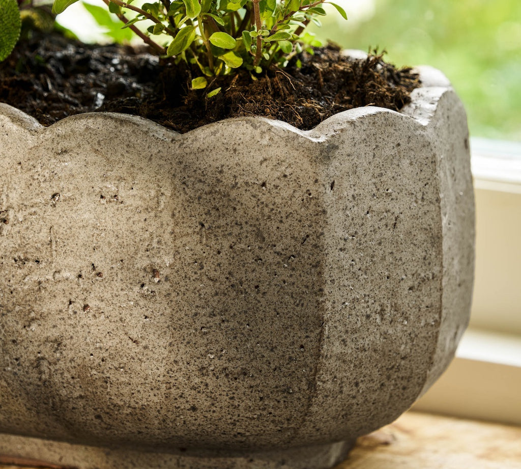 Concrete planter with a plant on a wooden surface