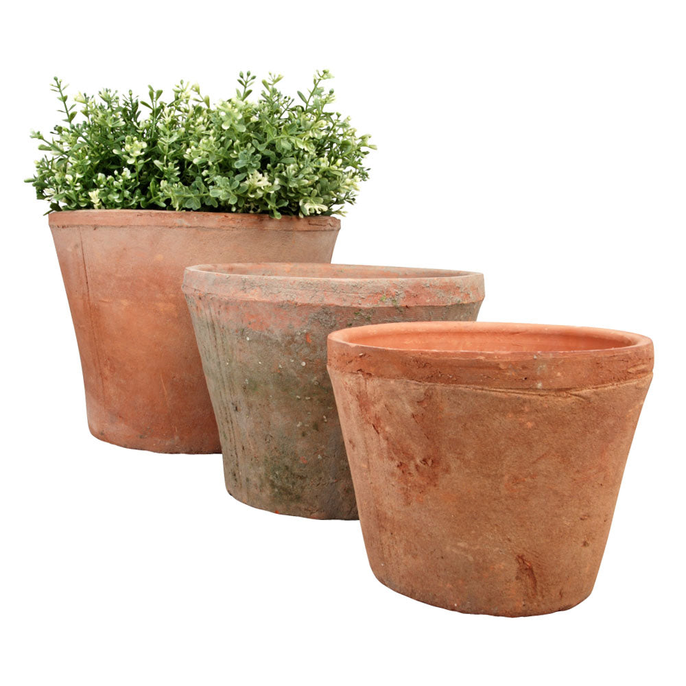 Three terracotta planters with plants on a white background