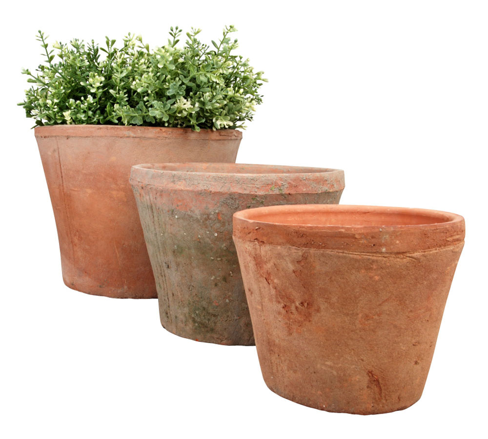 Three terracotta planters with plants on a white background