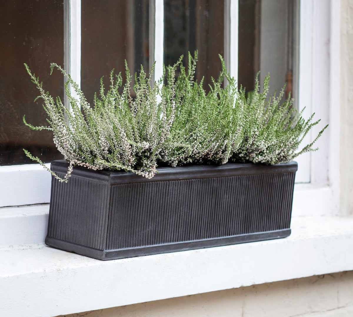 bath ford window trough planter