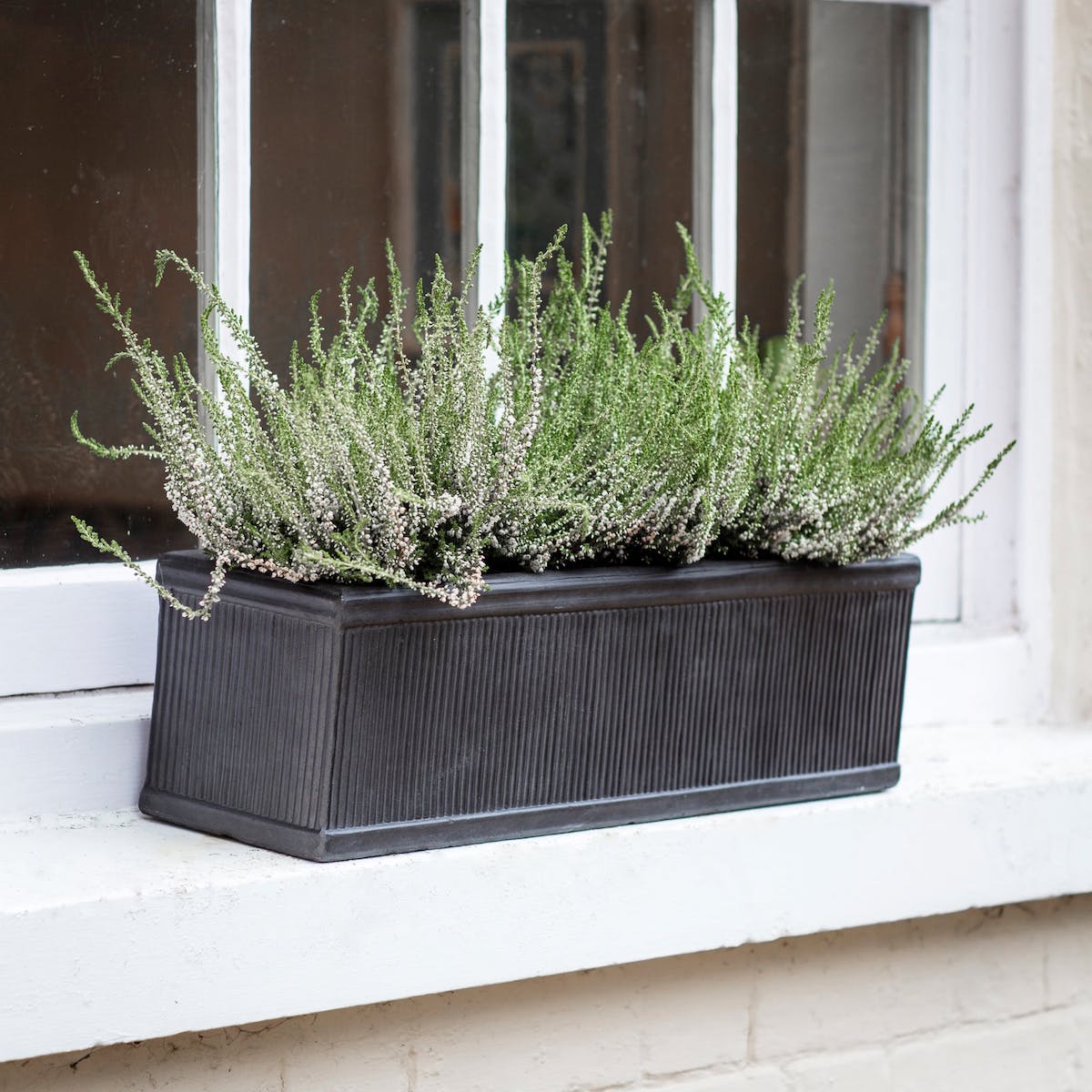 bath ford window trough planter
