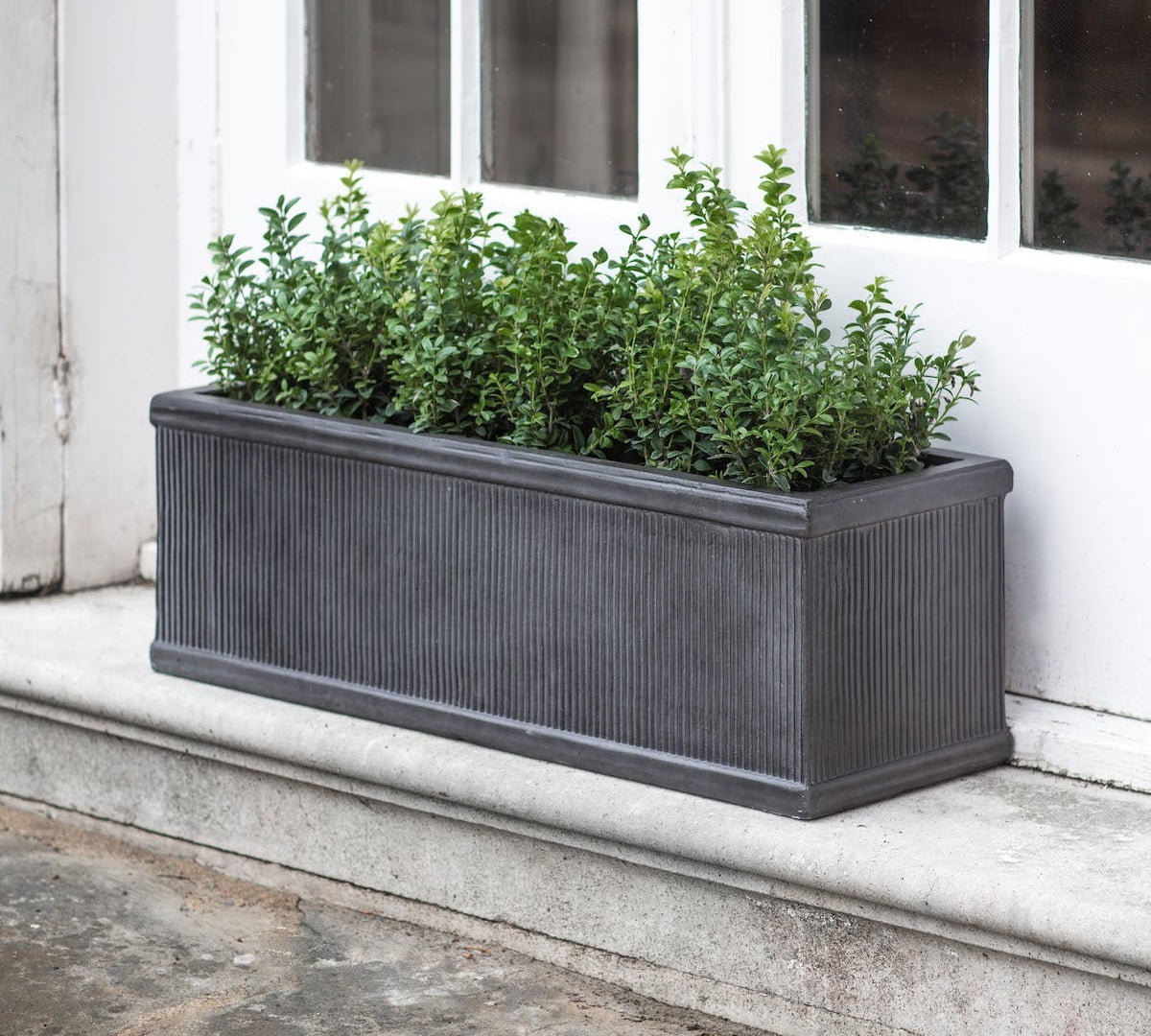 fibre clay window box 