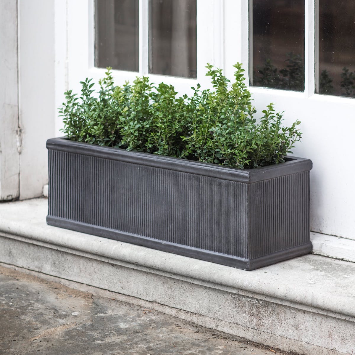 fibre clay window box 