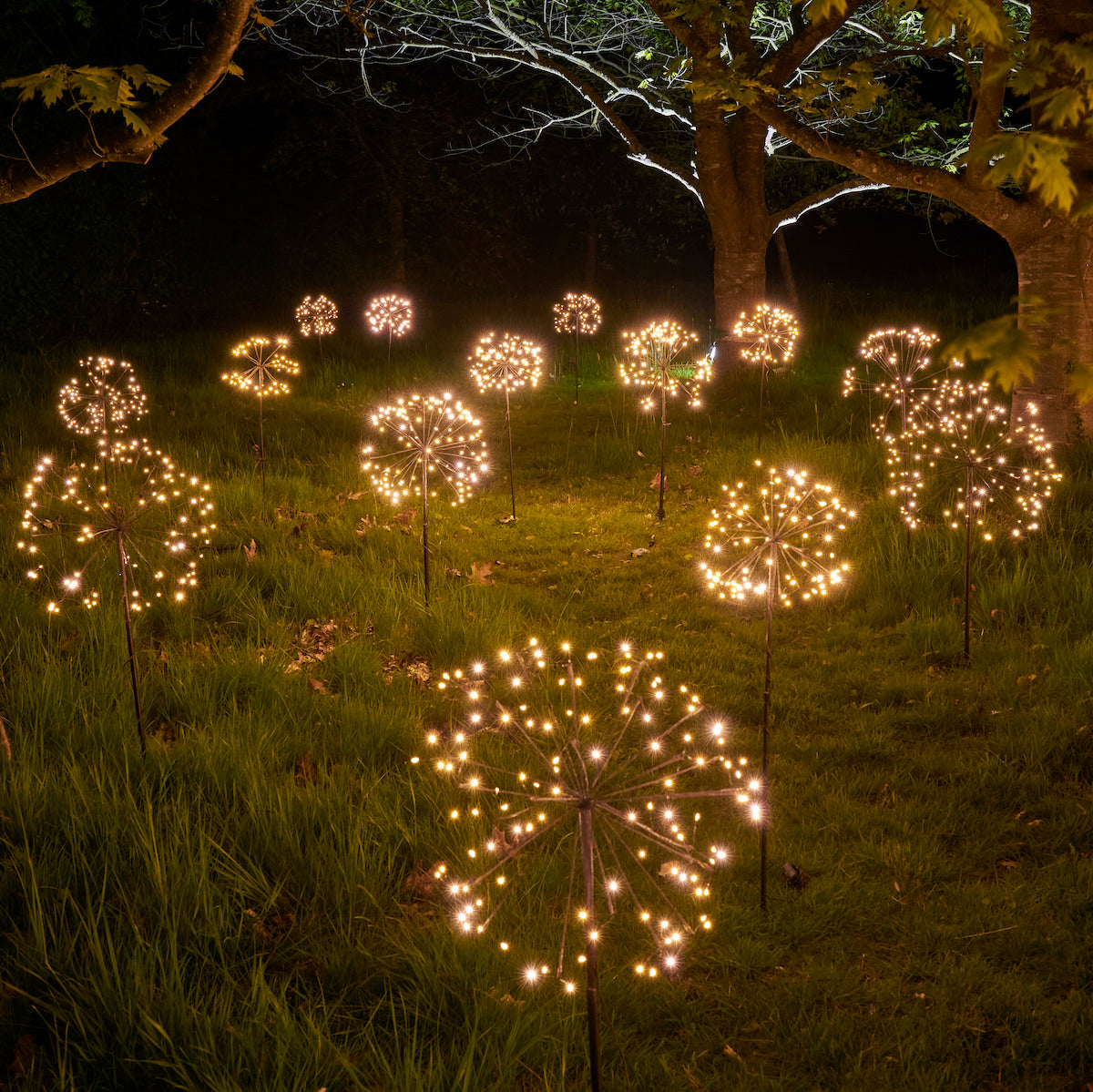 Decorative outdoor dandelion lights shaped like flowers on a grassy area at night.