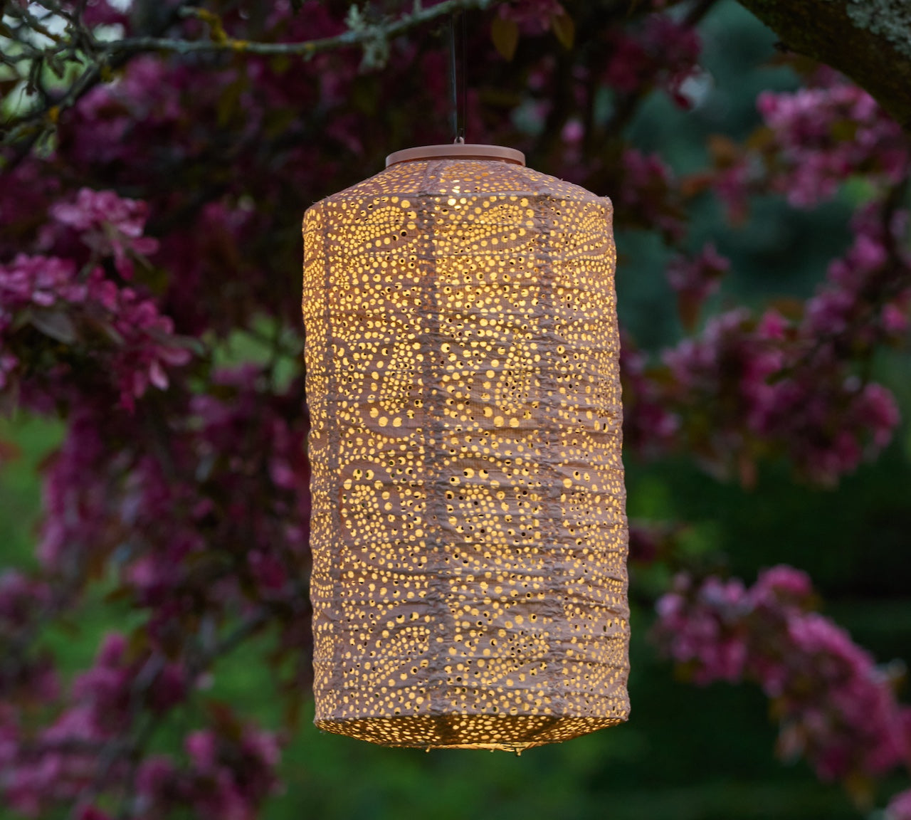 pale pink solar lantern