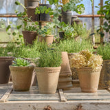 Lace detail terracotta plant pot 