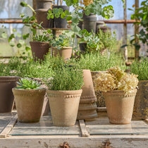 Lace detail terracotta plant pot 