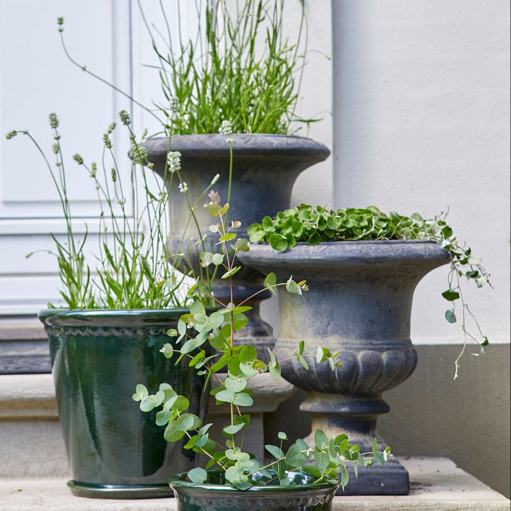 Vintage style plant pot in dark grey
