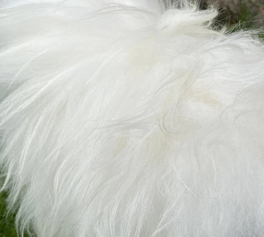 WHITE ICELANDIC SHEEPSKIN RUG 
