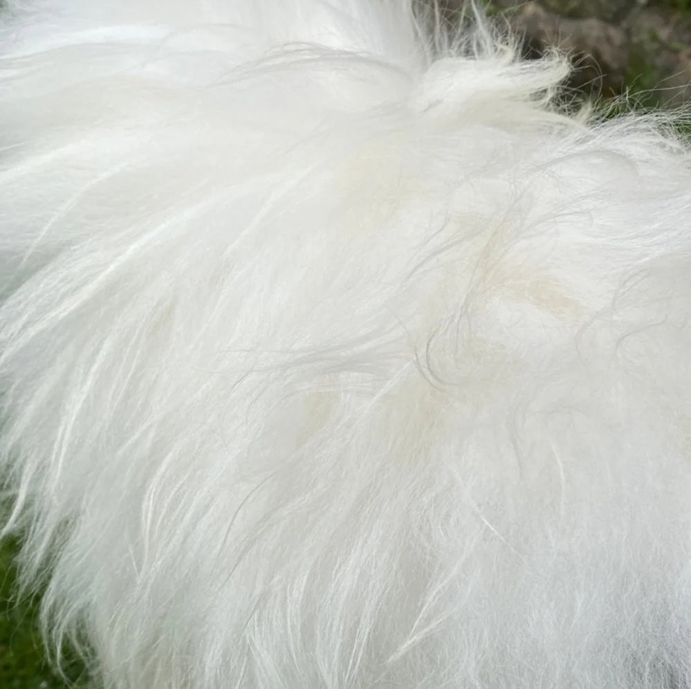 WHITE ICELANDIC SHEEPSKIN RUG 