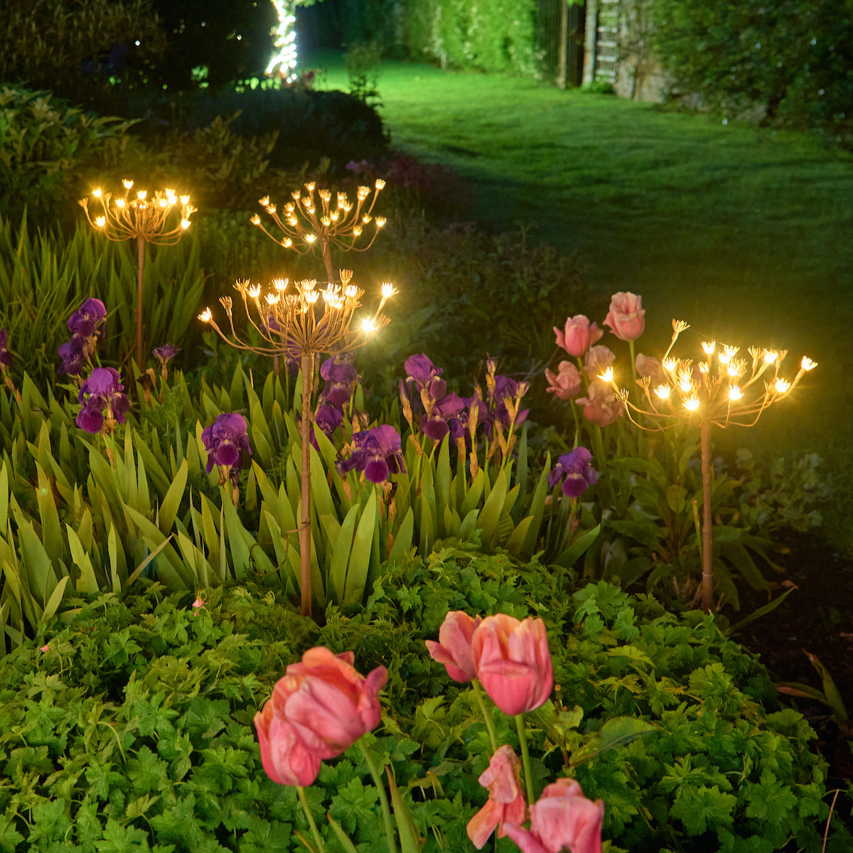 Garden at night with illuminated decorative solar lights 