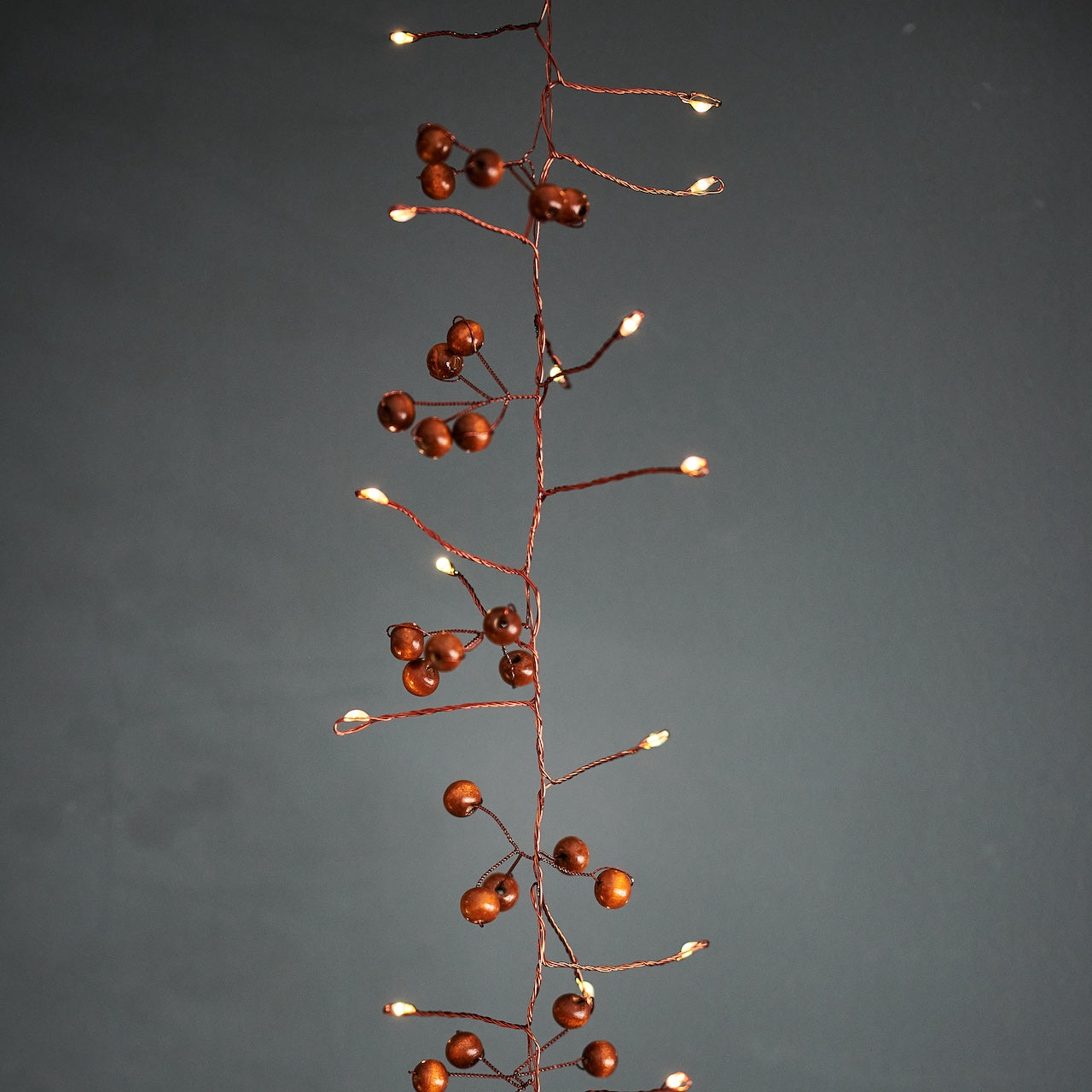 woodland berry fairy lights 