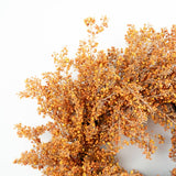 A close-up of dried orange-brown foliage with many small round berries, photographed against a plain white background.