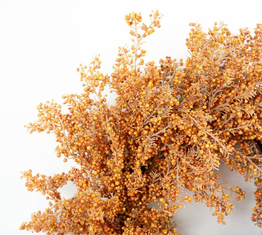 A close-up of dried orange-brown foliage with many small round berries, photographed against a plain white background.