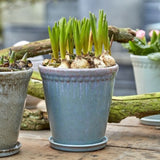 Dusty green blue lace plant pot