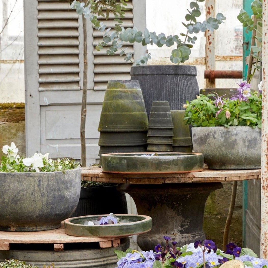 Collection of potted plants and garden tools in a rustic outdoor setting